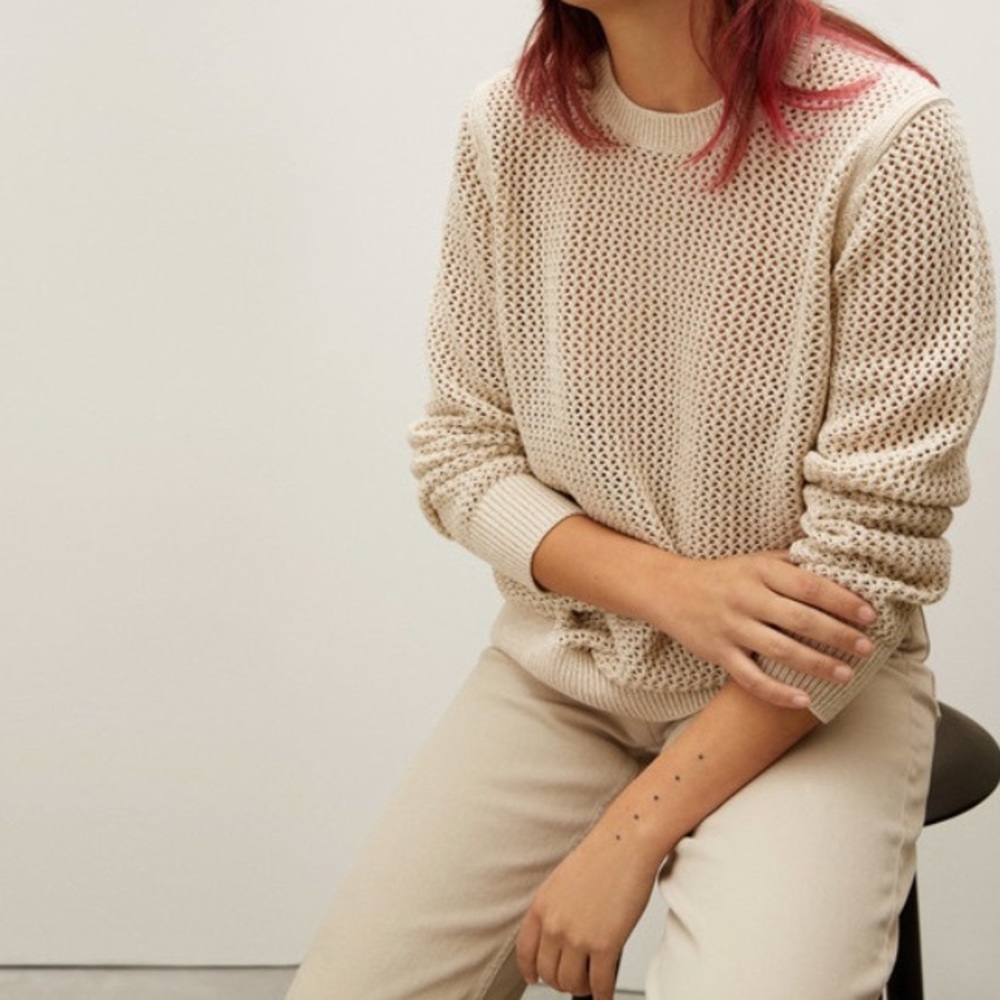 NWOT everlane sheer sweater